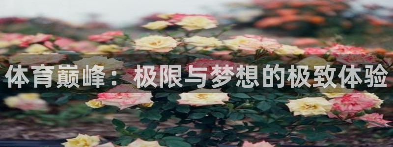 JJB竞技宝官方正版app集团简介：体育巅峰：极限与