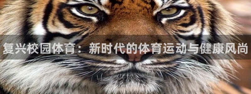 JJB竞技宝官网下载是干嘛的公司：复兴校园体育：新时