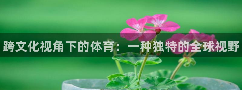 JJB竞技宝官方正版app娱乐代理怎么样：跨文化视角