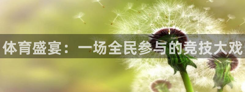 JJB竞技宝官方正版app娱乐网站：体育盛宴：一场全