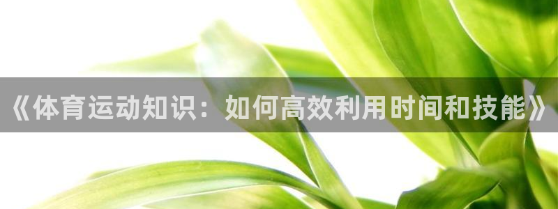 JJB竞技宝官网下载招商电话是多少号码：《体育运动知