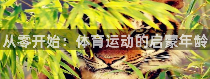 JJB竞技宝官网下载注册：从零开始：体育运动的启蒙年龄