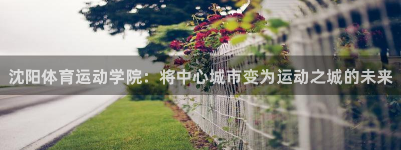 JJB竞技宝官网下载软件：沈阳体育运动学院：将中心城