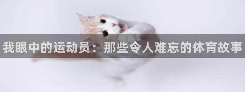 JJB竞技宝官方正版app集团官网首页网址：我眼中的