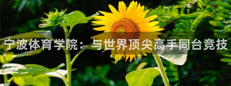 JJB竞技宝官网下载平台注册流程视频：宁波体育学院：