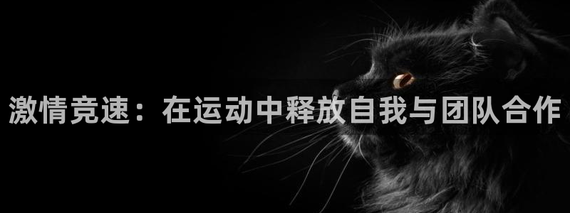 注册JJB竞技宝官方正版app：激情竞速：在运动中释