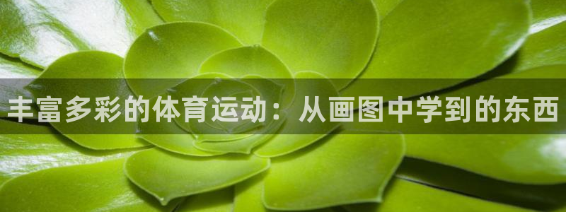 JJB竞技宝官方正版app娱乐网站：丰富多彩的体育运