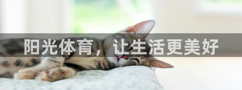 JJB竞技宝官网下载招商电话号码：阳光体育，让生活更美好