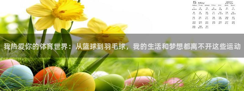 JJB竞技宝官方正版app神州