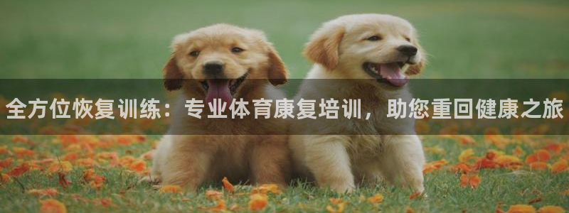 海南JJB竞技宝官网下载：全方位恢复训练：专业体育康复培训，