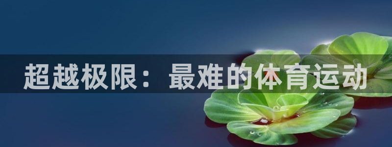 JJB竞技宝官网下载软件