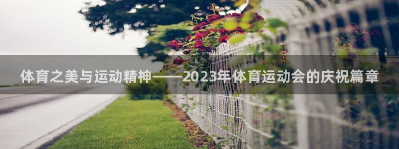 海南JJB竞技宝官网下载：体育之美与运动精神——2023年体