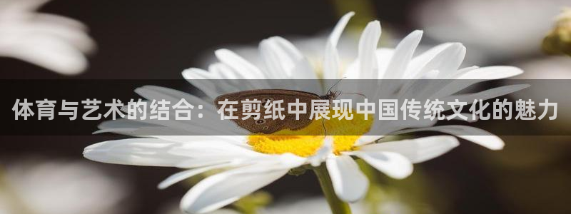 德国JJB竞技宝官方正版app集团：体育与艺术的结合：在剪纸