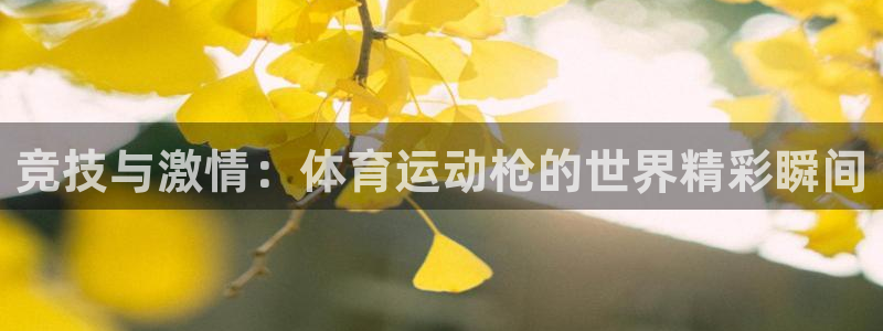JJB竞技宝官方正版app集团官网网址：竞技与激情：体育运动