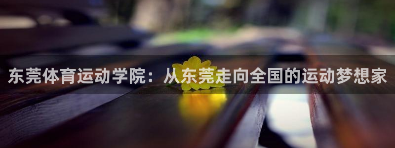 JJB竞技宝官网下载平台APP：东莞体育运动学院：从