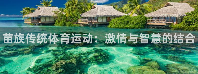 JJB竞技宝官网下载平台注册要钱吗是真的吗：苗族传统