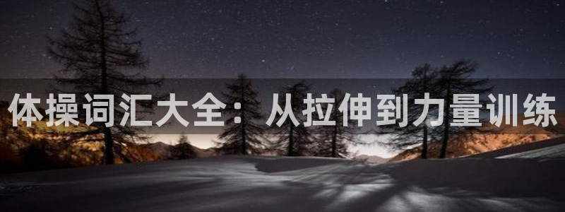 海南JJB竞技宝官网下载发展怎么样：体操词汇大全：从