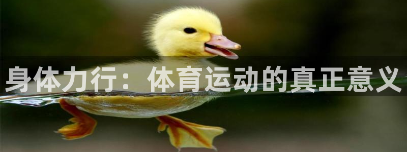 JJB竞技宝官网下载官方客服电话：身体力行：体育运动的真正意