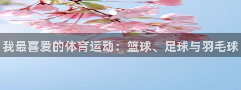 JJB竞技宝官网下载平台注册要钱吗：我最喜爱的体育运动：篮球