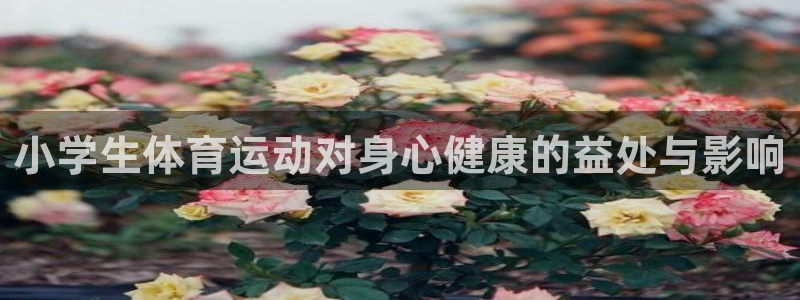 JJB竞技宝官方正版app娱乐40996：小学生体育运动对身