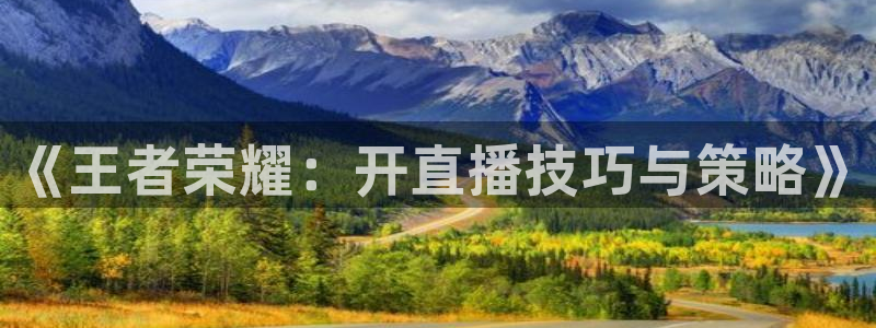 斗球直播入口免费：《王者荣耀：开直播技巧与策略》
