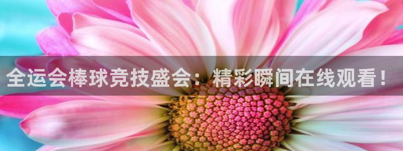 斗球体育app下载官网：全运会棒球竞技盛会：精彩瞬间在线观看！