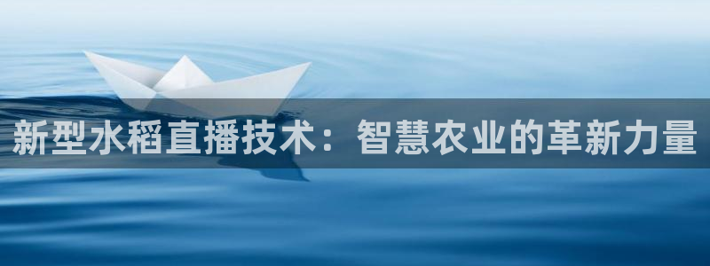 斗球体育直播官网：新型水稻直播技术：智慧农业的革新力量